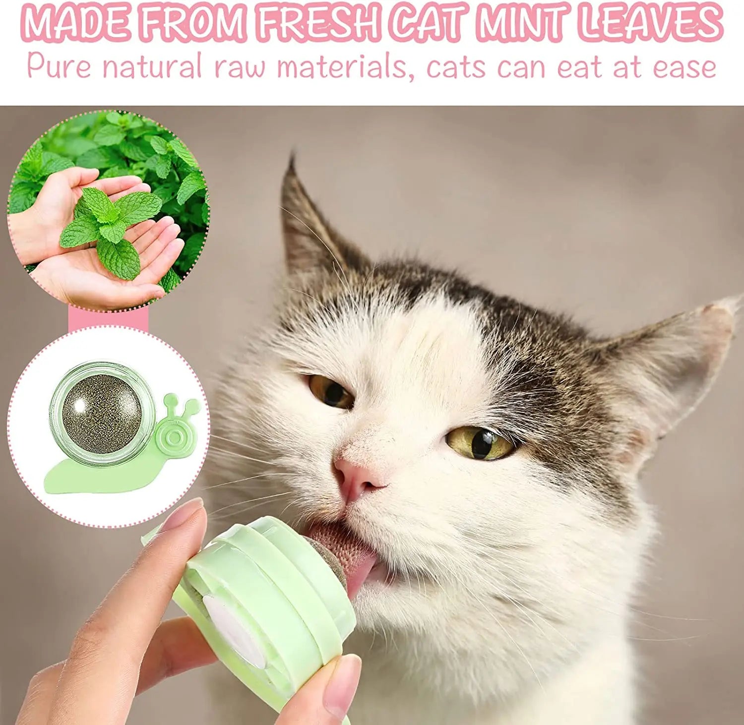 Catnip Wall Ball,Cat Toys Catnip Balls for Cats Wall Mounted Catnip Ball Toy Catnip Rollerball Wall Cat Lick Ball for Cat